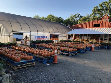 Johnson's Roadside Farm Market